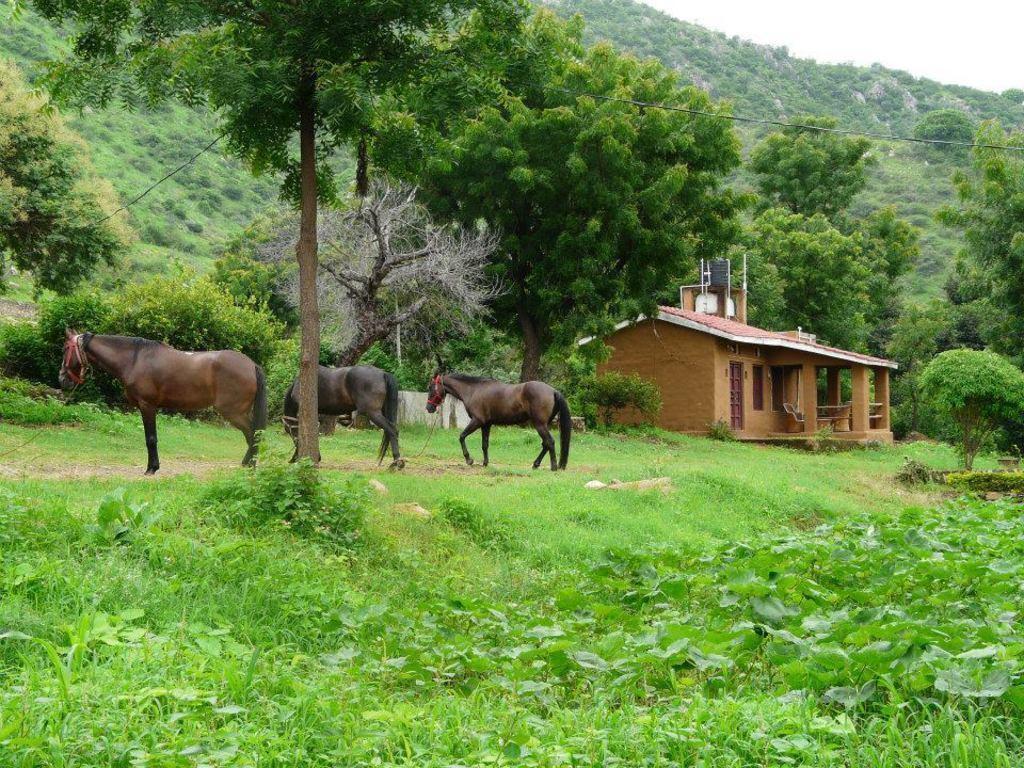 Villa Krishna Ranch Udaipur Exterior foto